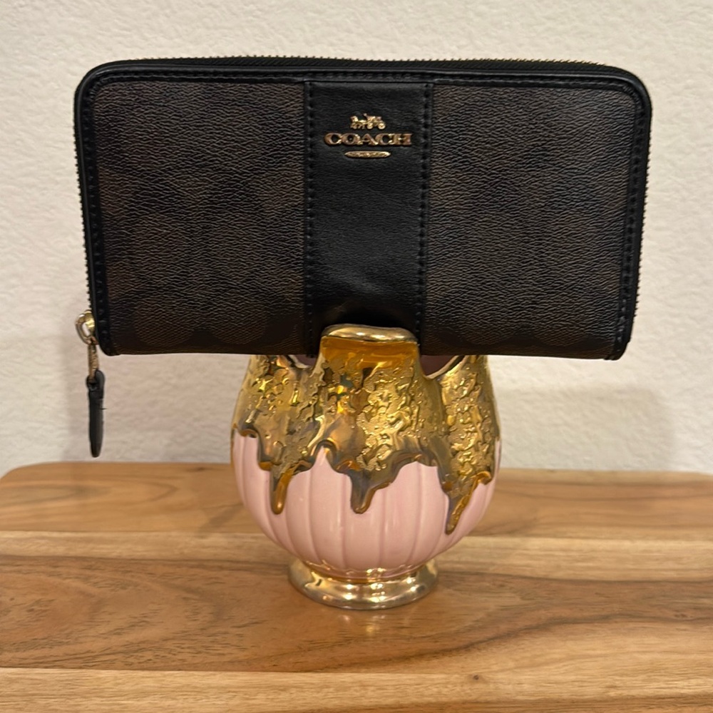 🕷️ Coach Zippered Wallet